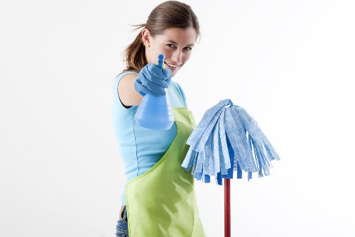 Professional home cleaner servicing a Bayswater residence
