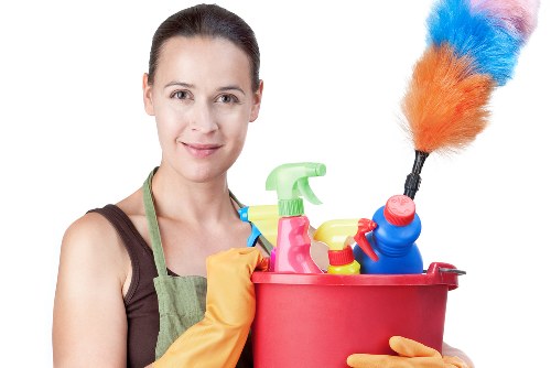 Local cleaner servicing a Bayswater apartment interior