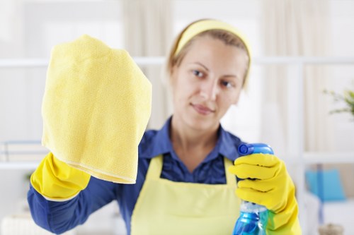 Professional carpet cleaning service for a Bayswater home interior