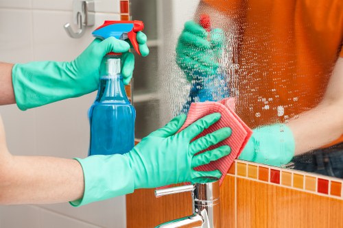 Professional carpet cleaning service in a Bayswater home