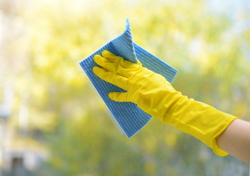 Stain and odour treatment for carpets in Bayswater
