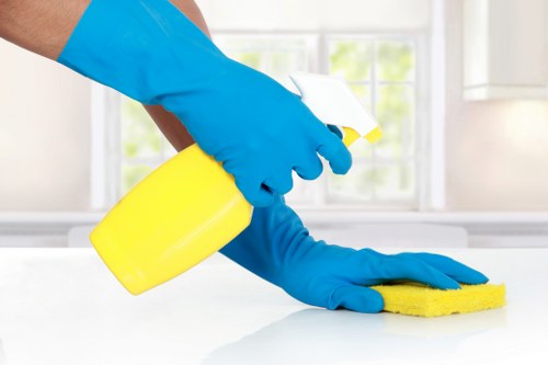 Professional cleaning service for Bayswater residential properties
