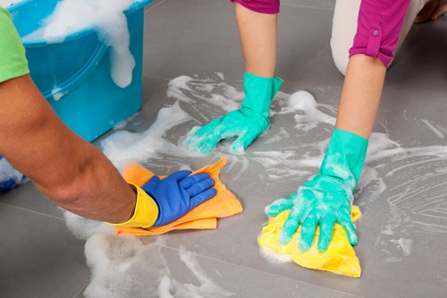 Professional carpet cleaning service for Bayswater homes and apartments