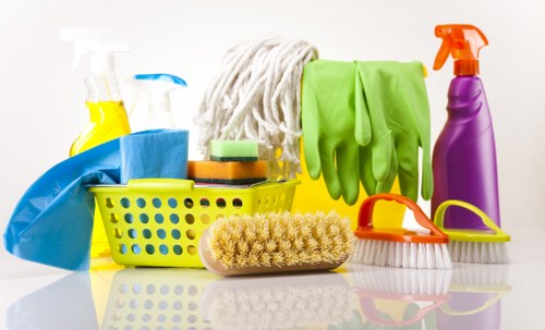 Bayswater oven cleaning for residential and commercial properties with careful appliance detailing