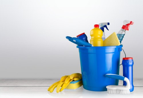 Deep carpet steam cleaning process in a Bayswater property