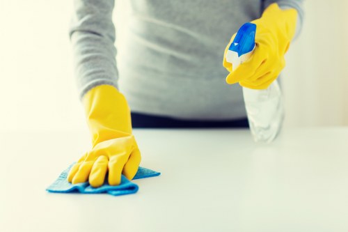Local oven cleaner working in a Bayswater kitchen apartment with access considerations