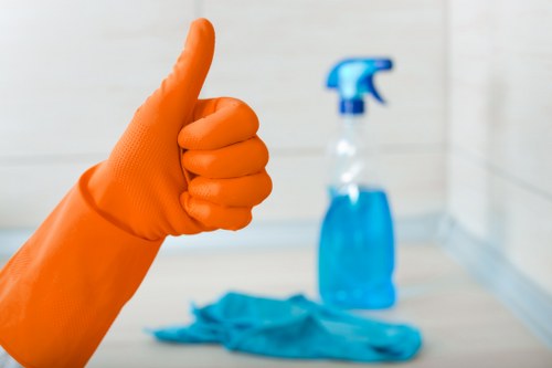 Regular domestic cleaning service for Bayswater residents