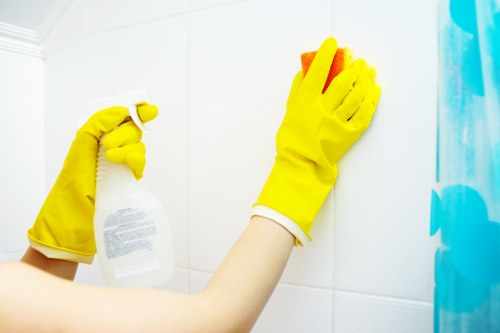 Screen-reader support illustration for Deep Cleaning Bayswater