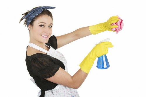 Bathroom limescale removal during Bayswater tenancy cleaning