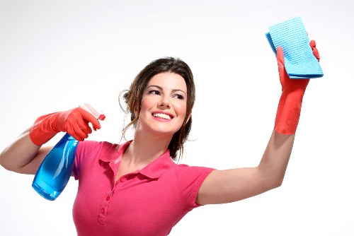 Upholstery cleaning equipment prepared for a Bayswater home